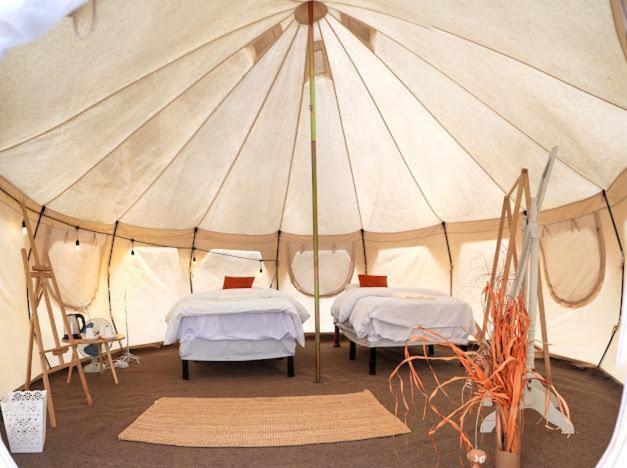 Safari Desert Camp Shāhiq Dış mekan fotoğraf